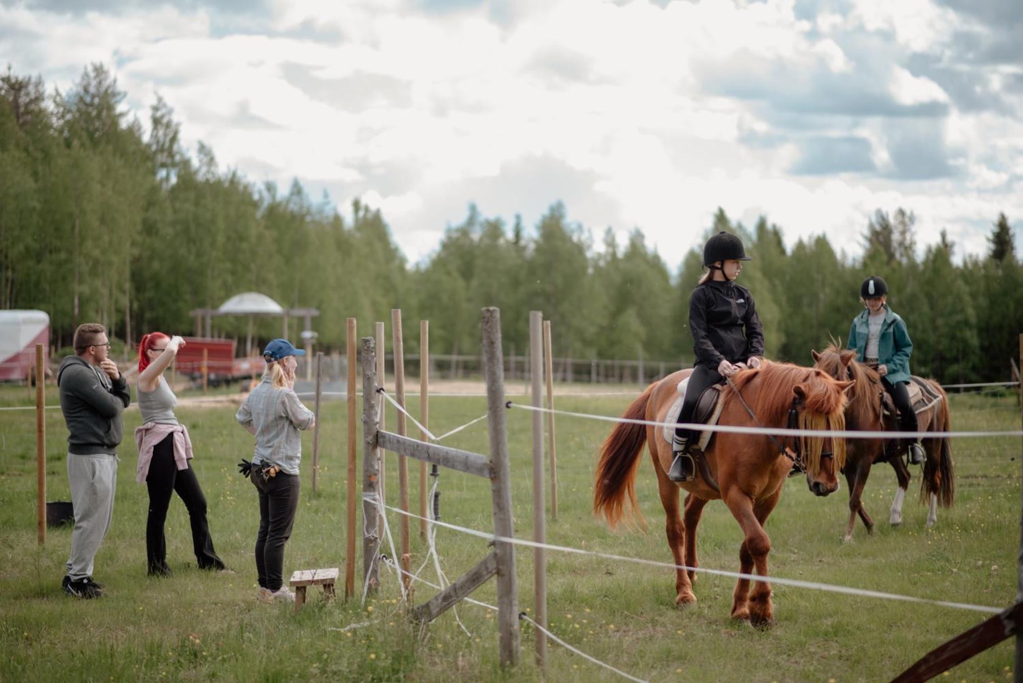Vila Heidin Mummola Farm Pello Exteriér fotografie