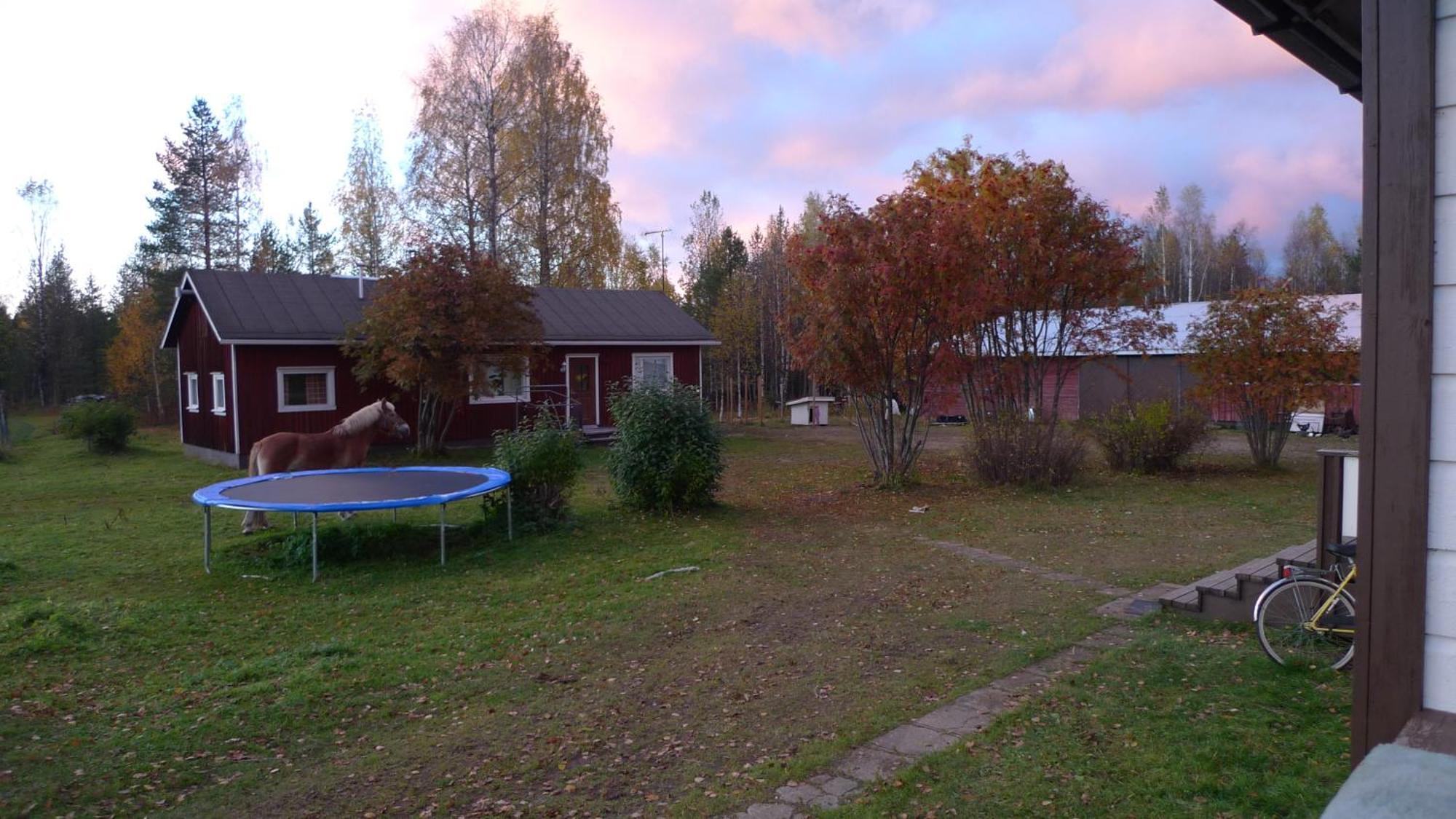 Vila Heidin Mummola Farm Pello Exteriér fotografie